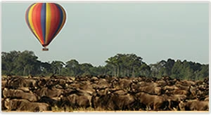 Kenya Safaris