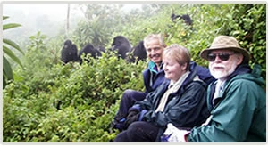 Rwanda Gorilla Trek